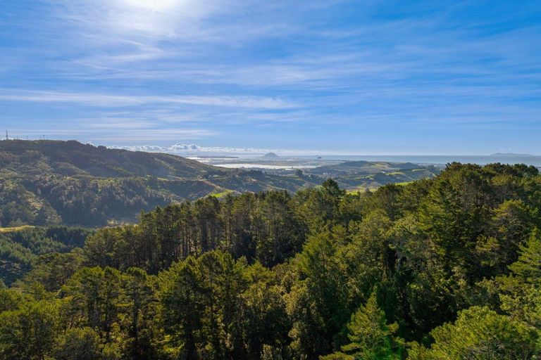 Photo of property in 225 Rocky Cutting Road, Waitao, Tauranga, 3175