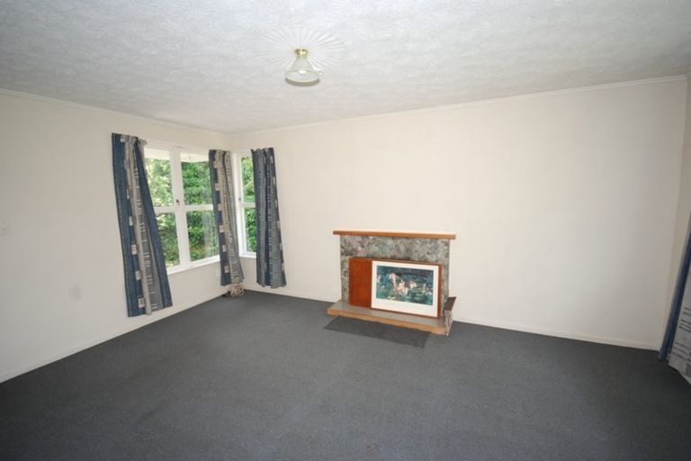 Photo of property in 132 Universal Drive, Henderson, Auckland, 0610