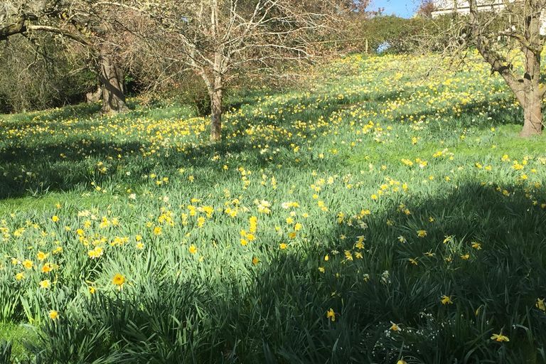 Photo of property in Belvoir House, 169 Mcnamaras Road, Waimate, 7979