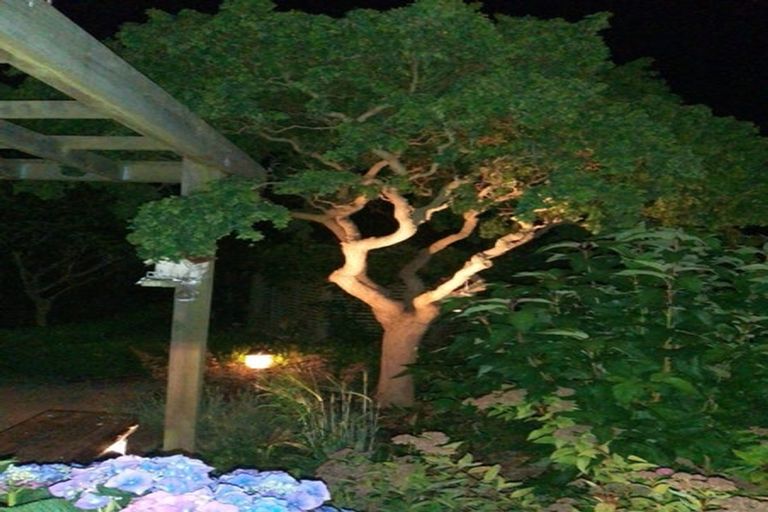 Photo of property in 18 Elgin Street, Normanby, Timaru, 7971