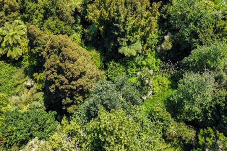 Photo of property in 247a Stanley Road, Wainui, Opotiki, 3198