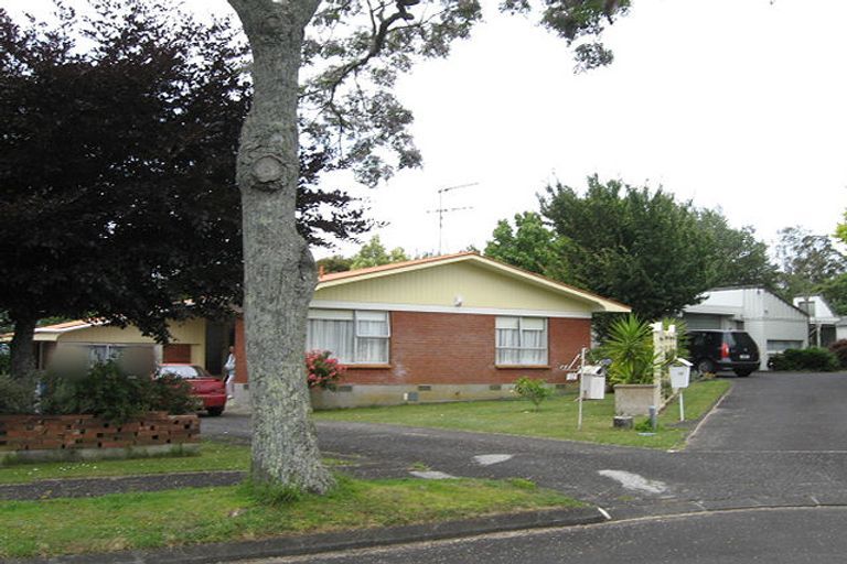 Photo of property in 17 Crisp Avenue, Pukekohe, 2120