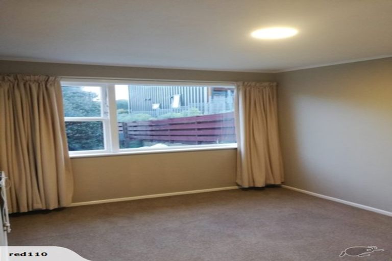 Photo of property in 133 Britomart Street, Berhampore, Wellington, 6023