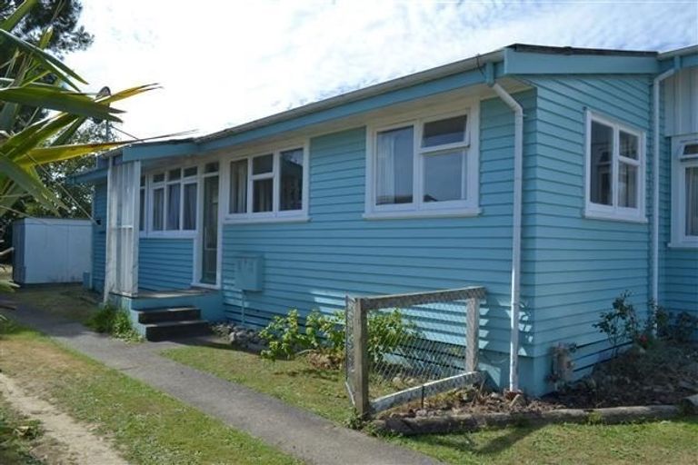 Photo of property in 19 Forth Street, Levin, 5510