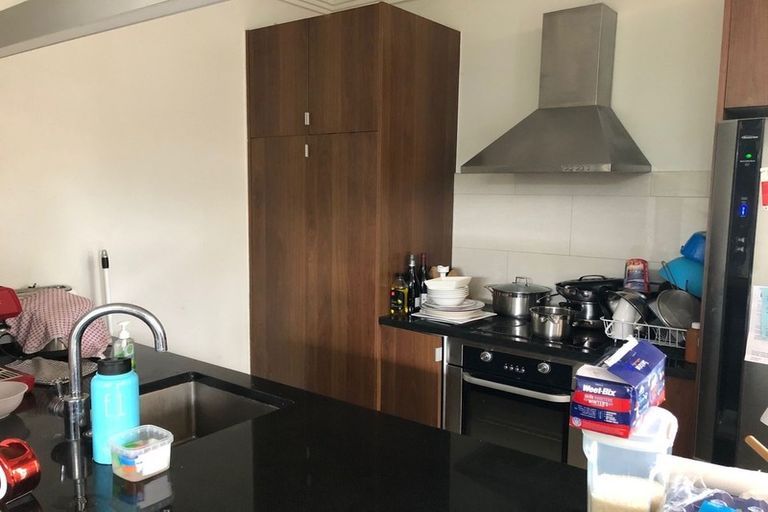 Photo of property in 315 Murphys Road, Flat Bush, Auckland, 2019