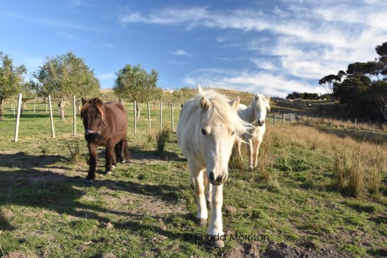 Photo of property in 173 Rangiora Road, Kaiwaka, 0573