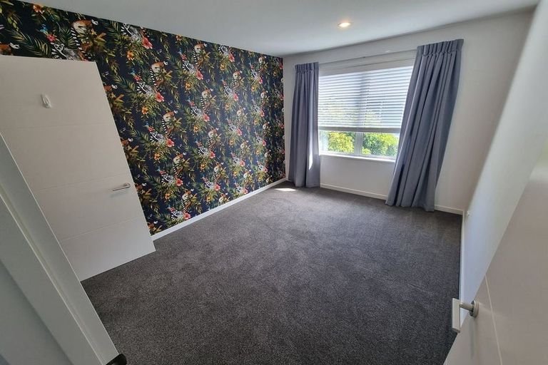 Photo of property in 535 Barbadoes Street, Edgeware, Christchurch, 8013