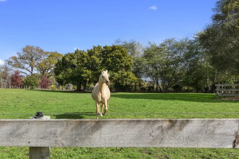 Photo of property in 939 Kahikatea Flat Road, Waitoki, Kaukapakapa, 0871