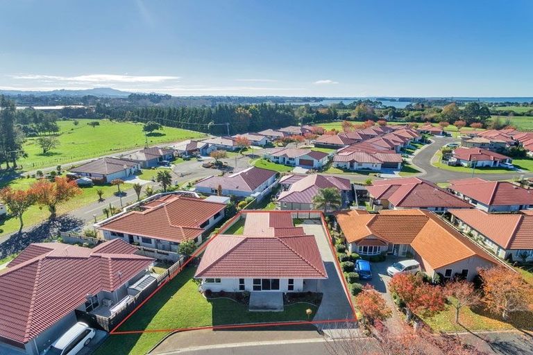 Photo of property in 7 Muirfield Crescent, Aongatete, Katikati, 3178