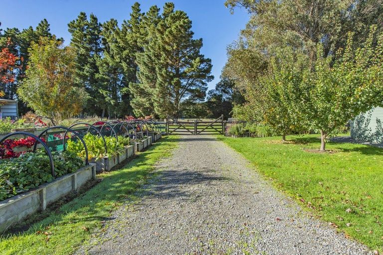 Photo of property in 193 Terrace Road, Leithfield, Amberley, 7481