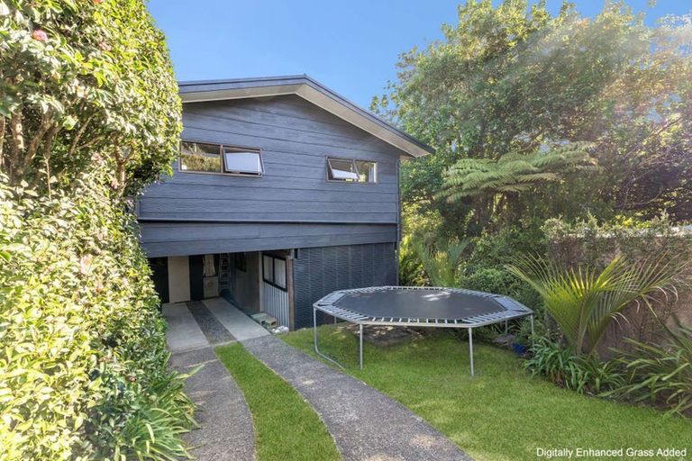 Photo of property in 23 Punga Place, Whitianga, 3510