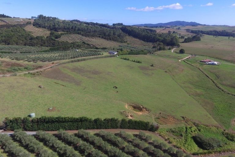 Photo of property in 90d Leccino Valley Road, Mangonui, 0494