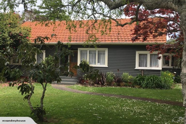 Photo of property in 21 Hobson Street, Maeroa, Hamilton, 3200