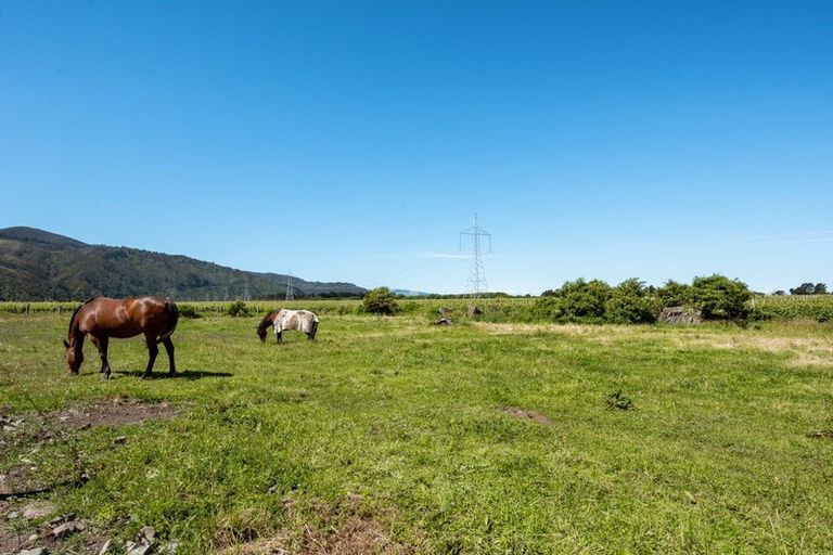 Photo of property in 113 Rarangi Road, Rarangi, Blenheim, 7273