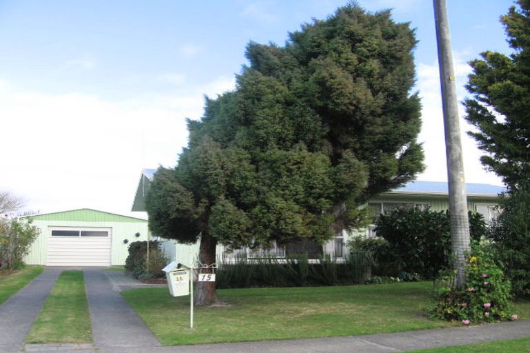 Photo of property in 15 Durham Avenue, Tamatea, Napier, 4112