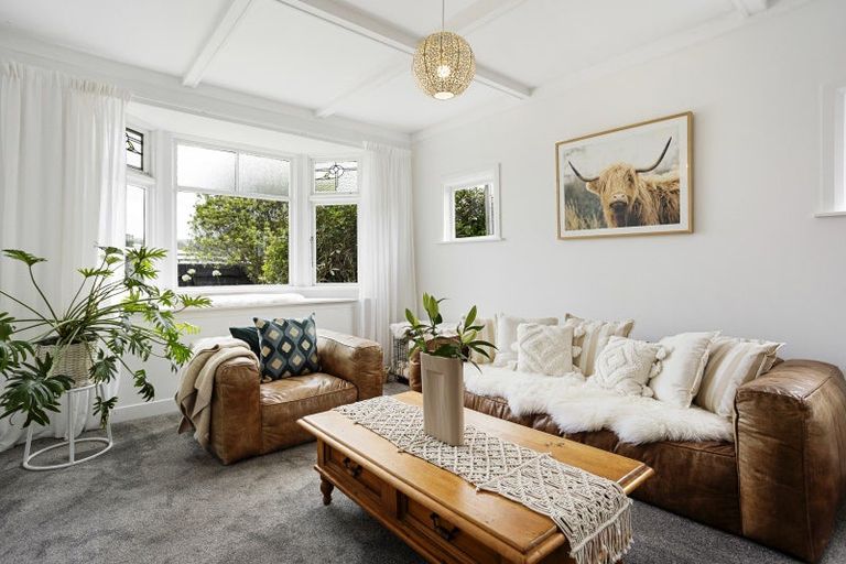 Photo of property in 50 Albert Street, Saint Clair, Dunedin, 9012