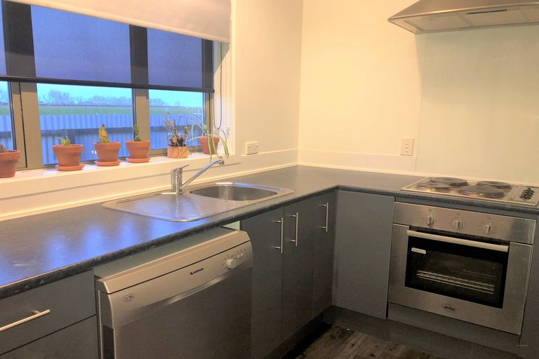 Photo of property in 12 Waipopo Road, Seadown, Timaru, 7973