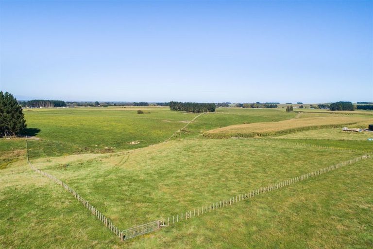 Photo of property in 172 Stewart Road, Feilding, 4479