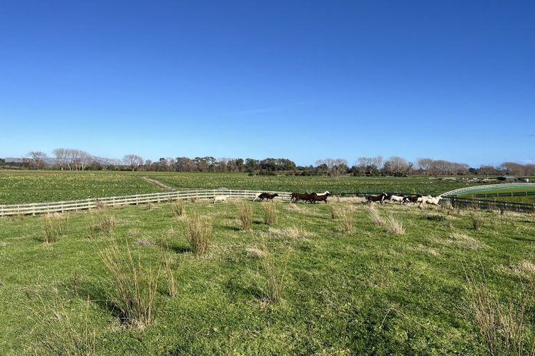 Photo of property in 111a Muhunoa Road West, Ohau, 5570