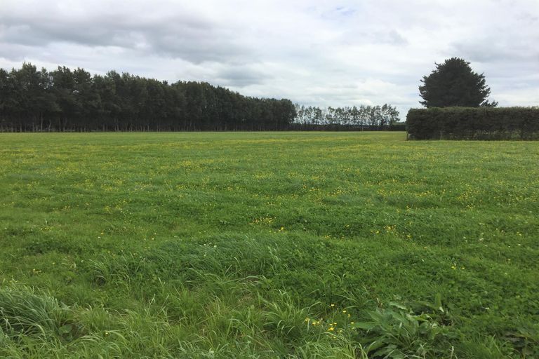 Photo of property in 773 Tauwhare Road, Tauwhare, Hamilton, 3287