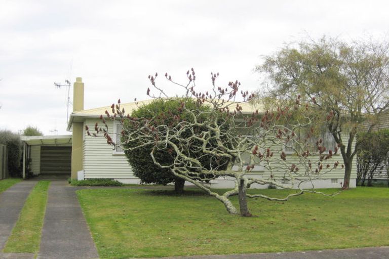 Photo of property in 20 Norfolk Street, Levin, 5510