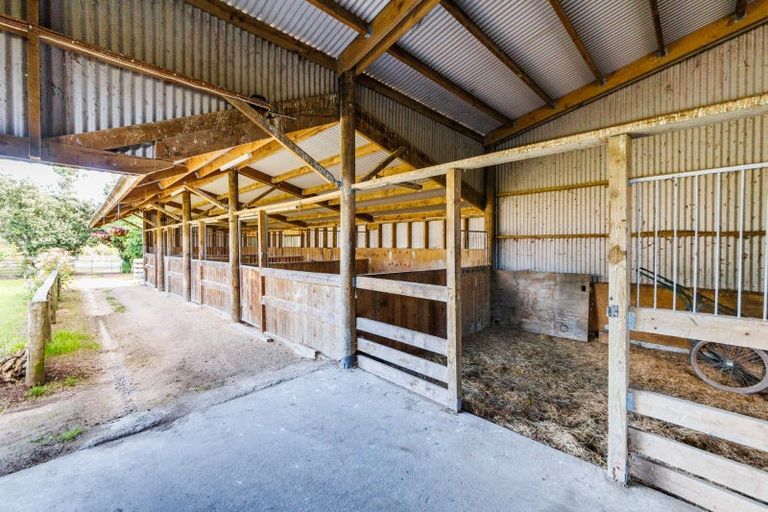 Photo of property in 237 Ngaio Road, Halcombe, Palmerston North, 4479