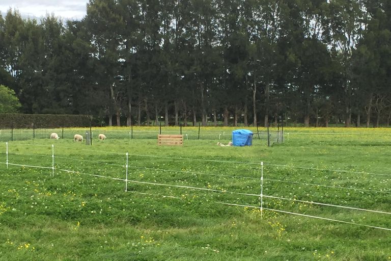 Photo of property in 773 Tauwhare Road, Tauwhare, Hamilton, 3287