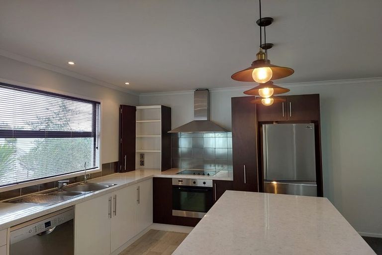 Photo of property in 44d Willoughby Street, Whitiora, Hamilton, 3200