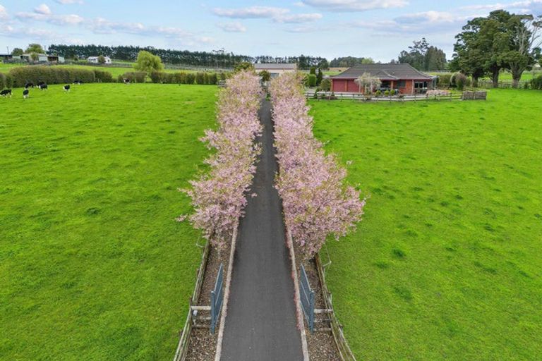 Photo of property in 137 Hart Road, Pukekohe, 2676