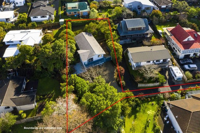 Photo of property in 18 Tableau Place, Totara Vale, Auckland, 0629