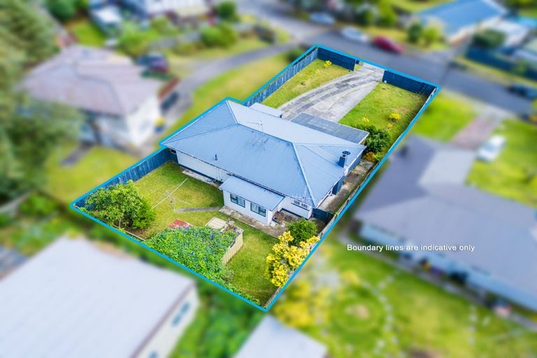 Photo of property in 44 Kohekohe Street, New Lynn, Auckland, 0600