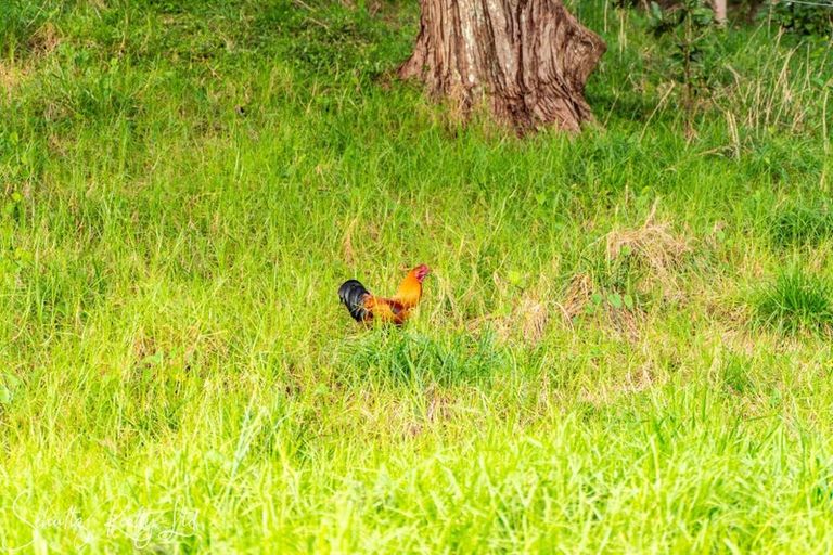 Photo of property in 227 Mountain Road, Maungaturoto, 0587