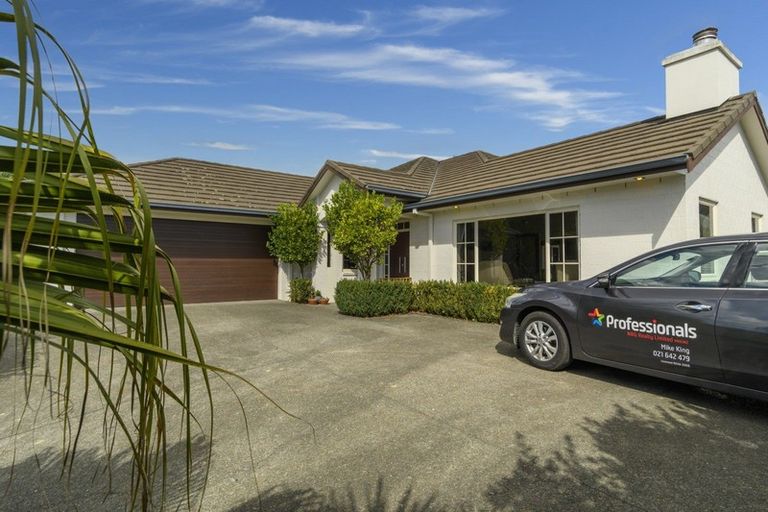 Photo of property in 164 Carmichael Road, Bethlehem, Tauranga, 3110