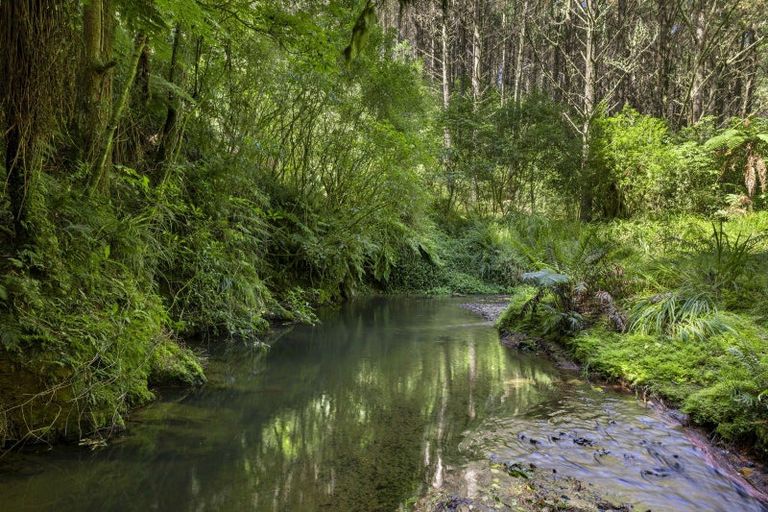 Photo of property in 944 Old Mountain Road, Waitetuna, Raglan, 3295