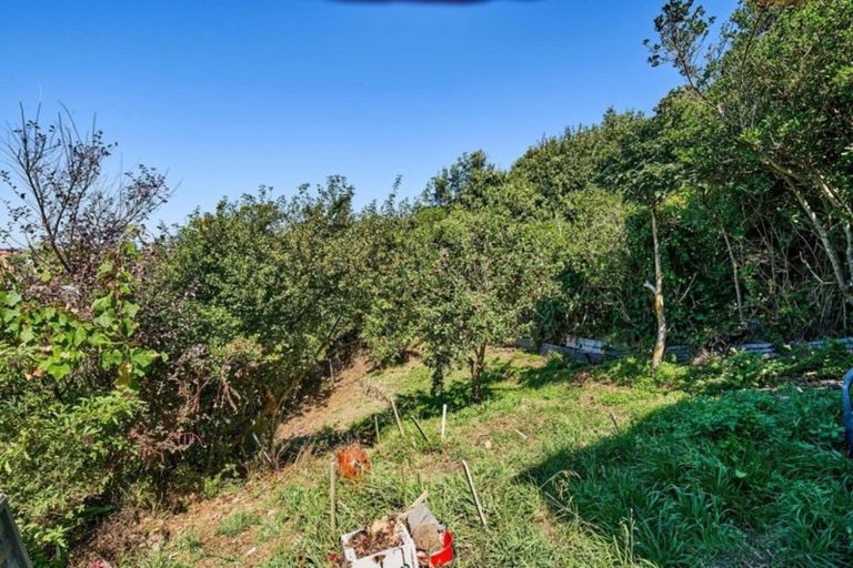 Photo of property in 17 Oku Street, Island Bay, Wellington, 6023