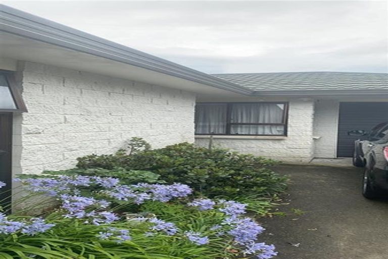 Photo of property in 98b Limbrick Street, Terrace End, Palmerston North, 4410
