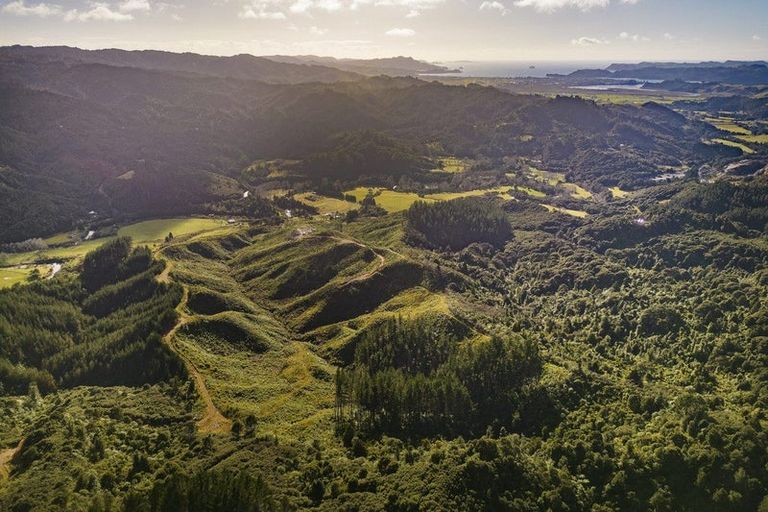 Photo of property in 1870 The 309 Road, Kaimarama, Whitianga, 3591