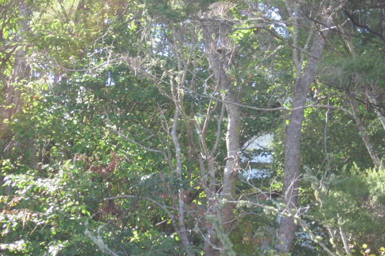 Photo of property in 47 Woodfern Crescent, Titirangi, Auckland, 0604