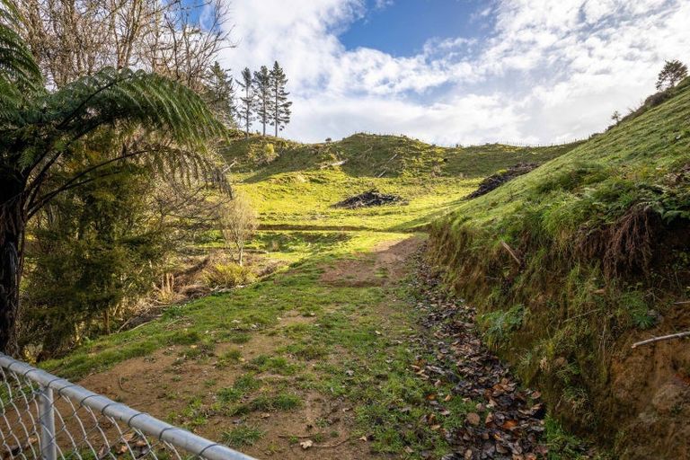 Photo of property in 822 Motukawa Road, Tarata, Inglewood, 4387