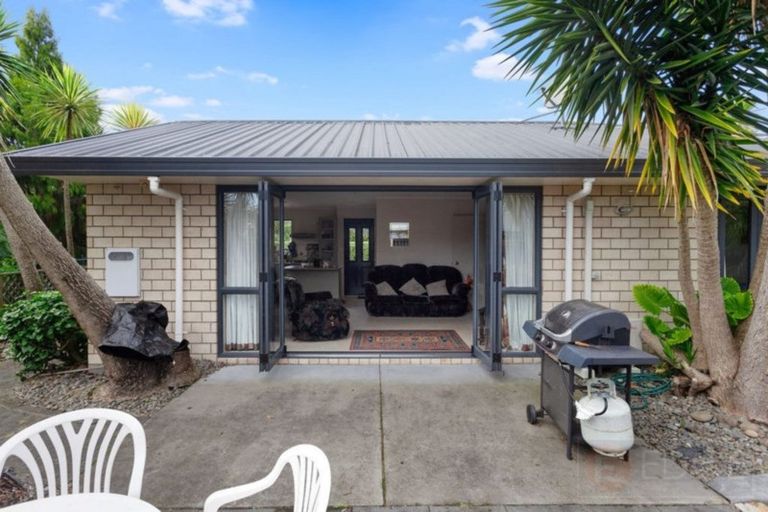 Photo of property in 55 Bridge Street, Whakatane, 3120