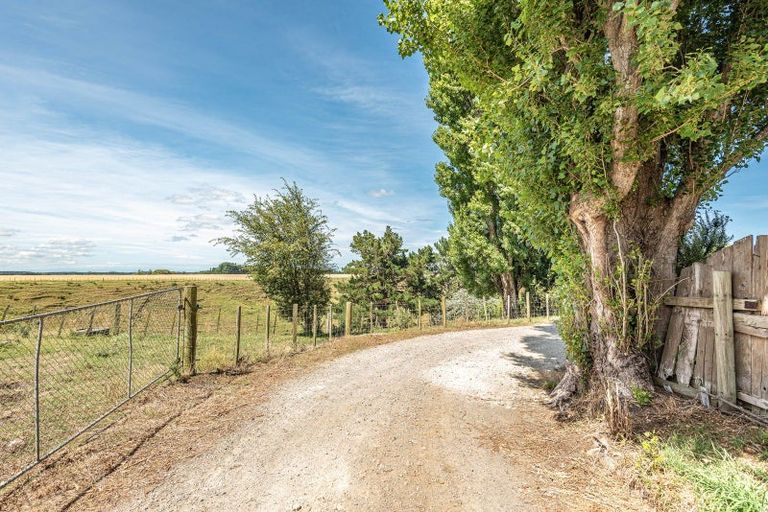 Photo of property in 21 Burtts Road, Durie Hill, Whanganui, 4500