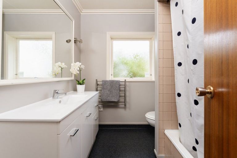 Photo of property in 3 Falcon Street, Roslyn, Dunedin, 9010