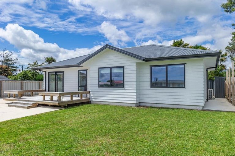 Photo of property in 39 Strathmore Avenue, Levin, 5510