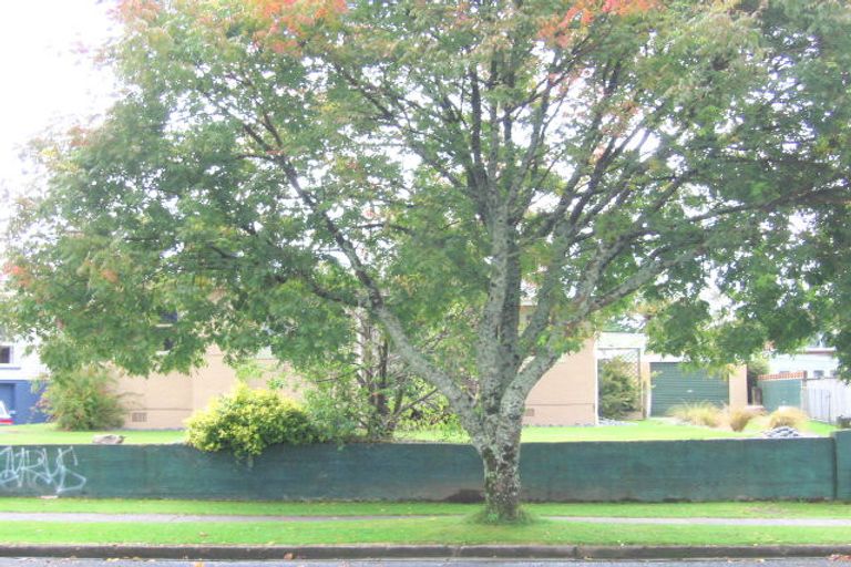 Photo of property in 14 Baird Road, Tokoroa, 3420