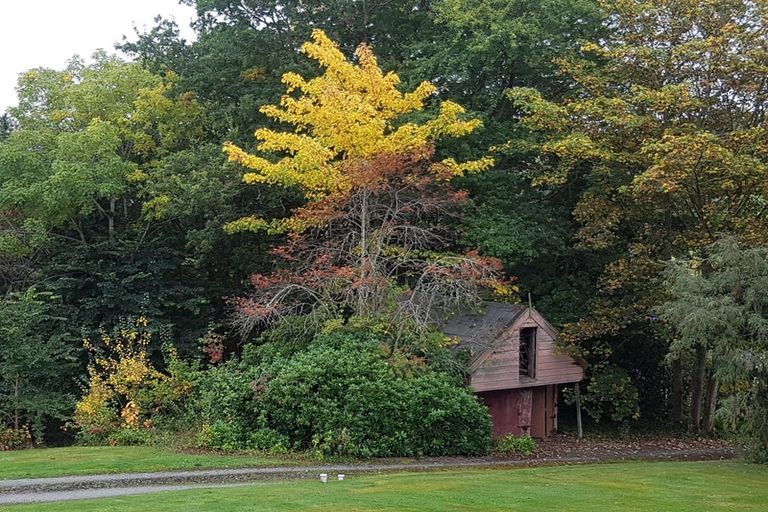 Photo of property in 20 Peel Street, Lawrence, 9532