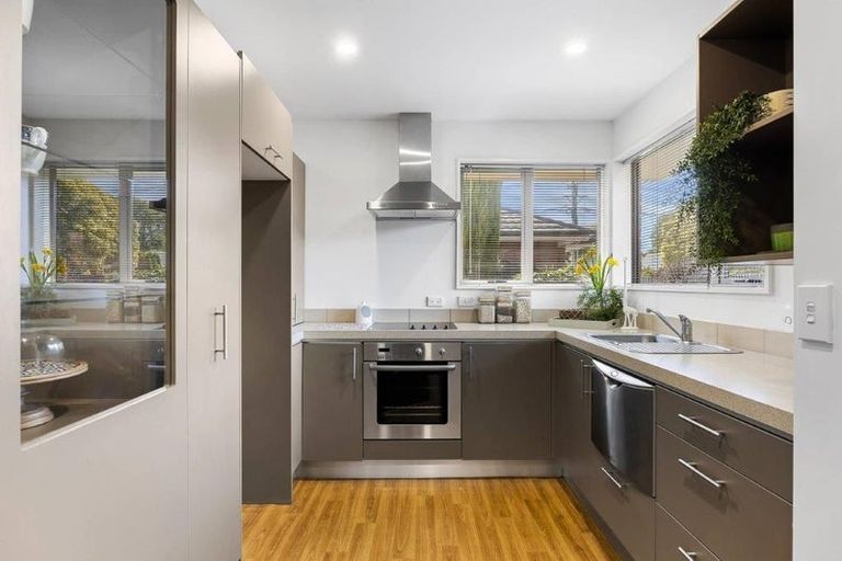 Photo of property in 31b Wilsons Road, Saint Martins, Christchurch, 8022