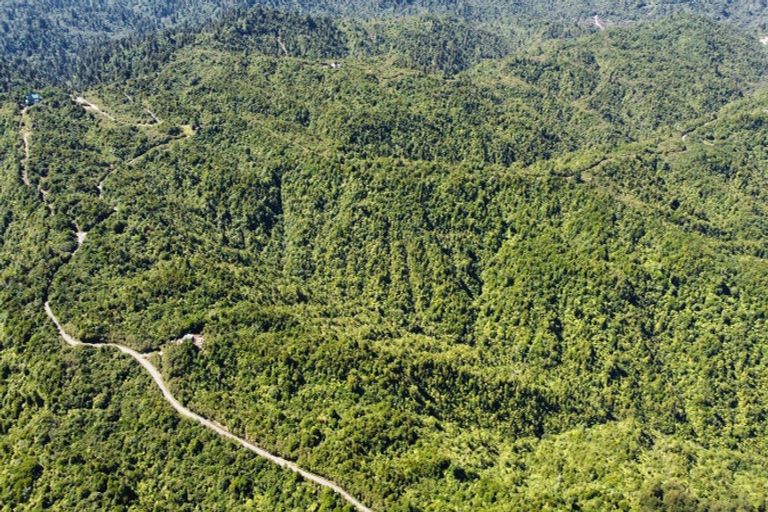 Photo of property in 552 Cuff Road, Erua, Owhango, 3990