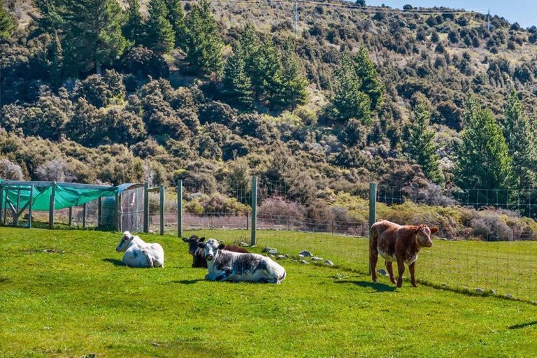 Photo of property in 78 Nursery Road, Queensberry, Cromwell, 9383