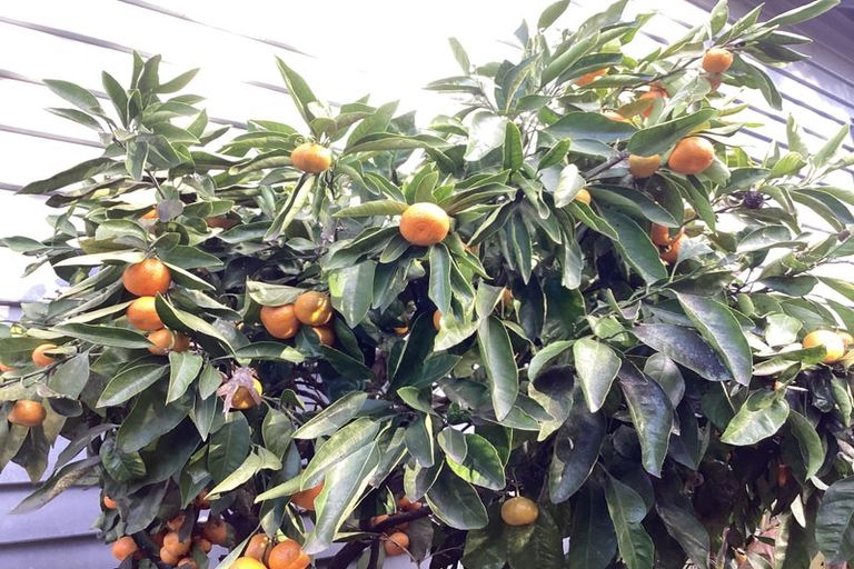 Photo of property in 134 Springfield Road, St Albans, Christchurch, 8014