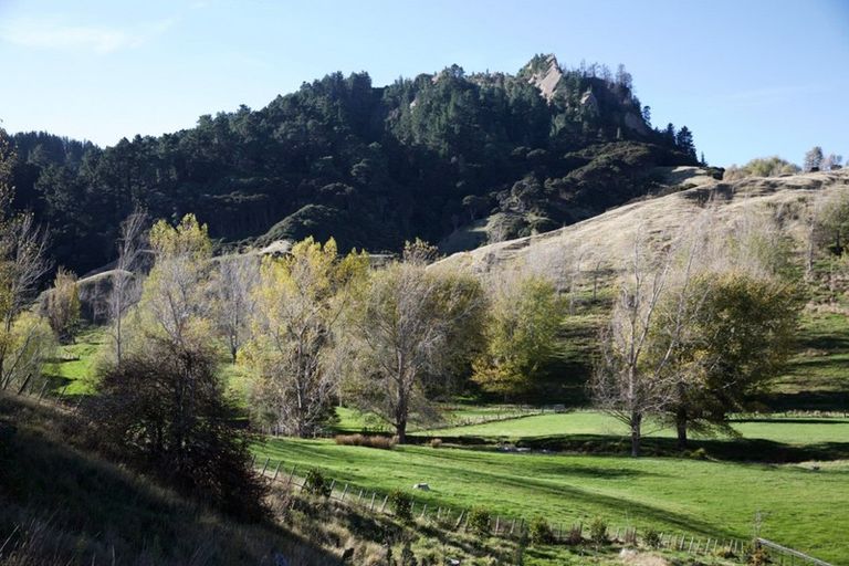 Photo of property in 4195 Masterton Castlepoint Road, Tinui, Masterton, 5889